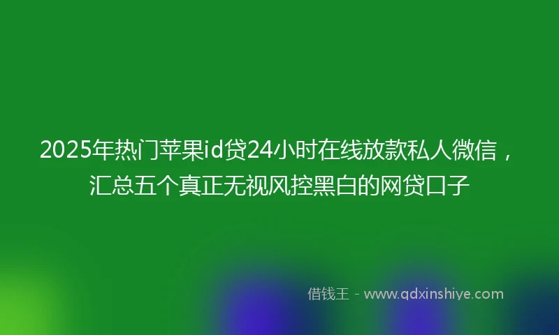 2025年热门苹果id贷24小时在线放款私人微信，汇总五个真正无视风控黑白的网贷口子