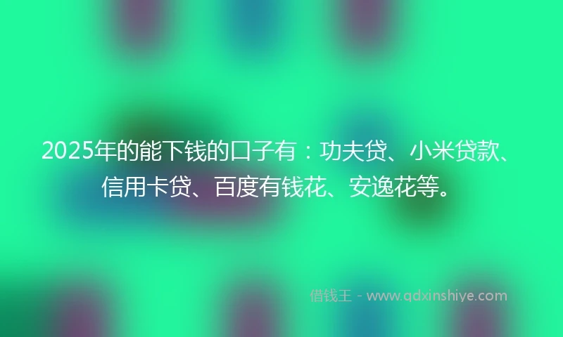 2025年的能下钱的口子有：功夫贷、小米贷款、信用卡贷、百度有钱花、安逸花等。