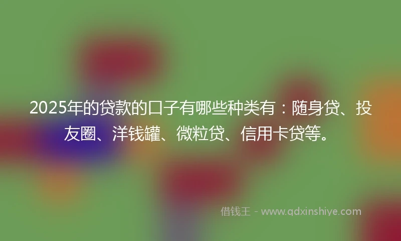 2025年的贷款的口子有哪些种类有：随身贷、投友圈、洋钱罐、微粒贷、信用卡贷等。