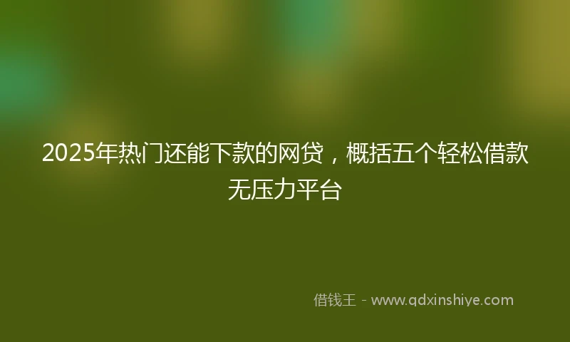 2025年热门还能下款的网贷，概括五个轻松借款无压力平台