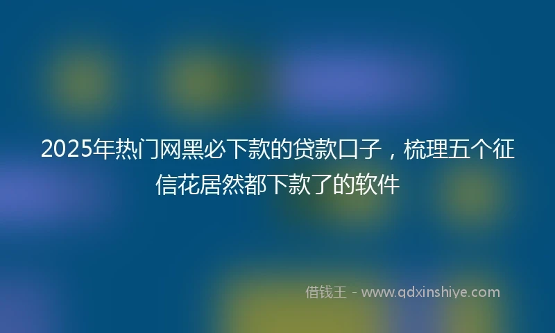 2025年热门网黑必下款的贷款口子，梳理五个征信花居然都下款了的软件
