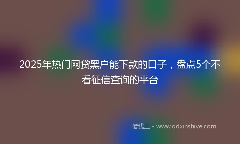 2025年热门网贷黑户能下款的口子，盘点5个不看征信查询的平台