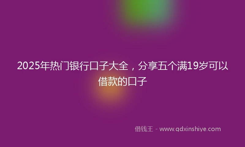 2025年热门银行口子大全，分享五个满19岁可以借款的口子