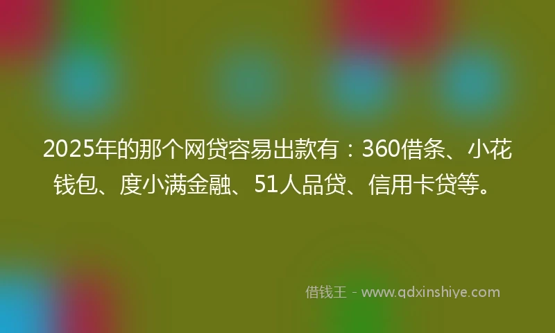 2025年的那个网贷容易出款有：360借条、小花钱包、度小满金融、51人品贷、信用卡贷等。