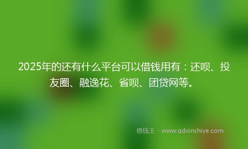 2025年的还有什么平台可以借钱用有：还呗、投友圈、融逸花、省呗、团贷网等。