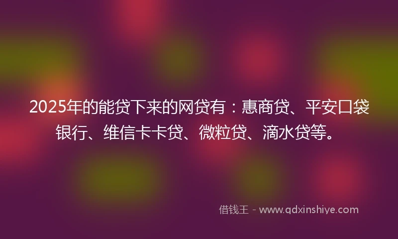 2025年的能贷下来的网贷有：惠商贷、平安口袋银行、维信卡卡贷、微粒贷、滴水贷等。