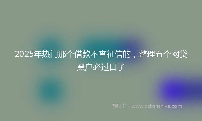 2025年热门那个借款不查征信的，整理五个网贷黑户必过口子
