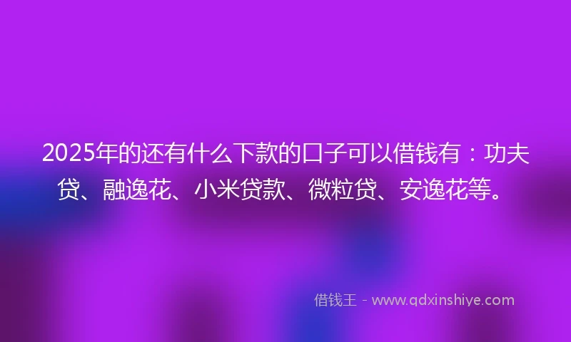 2025年的还有什么下款的口子可以借钱有：功夫贷、融逸花、小米贷款、微粒贷、安逸花等。