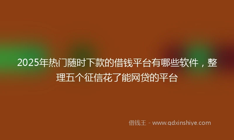 2025年热门随时下款的借钱平台有哪些软件，整理五个征信花了能网贷的平台