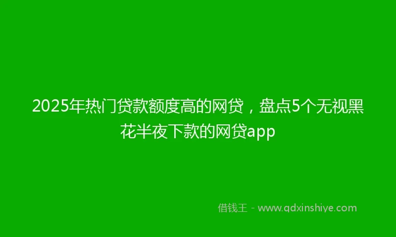 2025年热门贷款额度高的网贷，盘点5个无视黑花半夜下款的网贷app