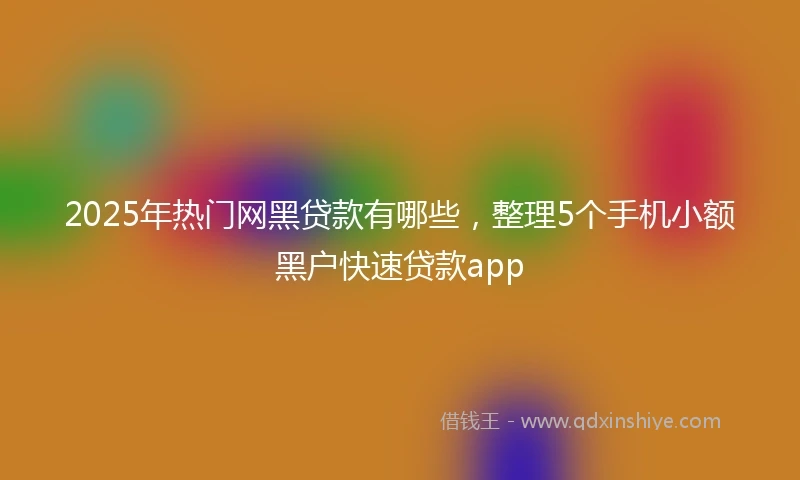 2025年热门网黑贷款有哪些，整理5个手机小额黑户快速贷款app