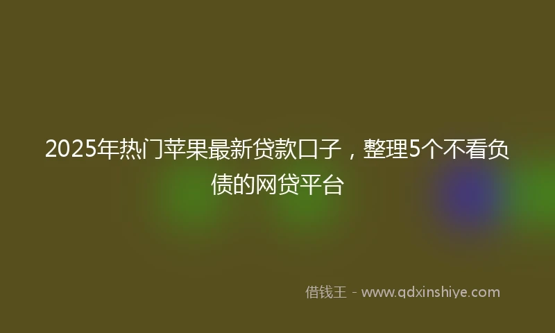 2025年热门苹果最新贷款口子，整理5个不看负债的网贷平台