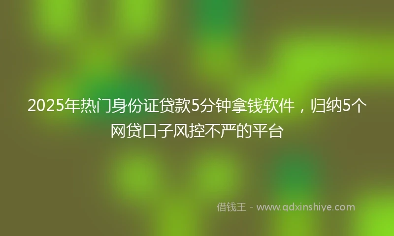2025年热门身份证贷款5分钟拿钱软件，归纳5个网贷口子风控不严的平台
