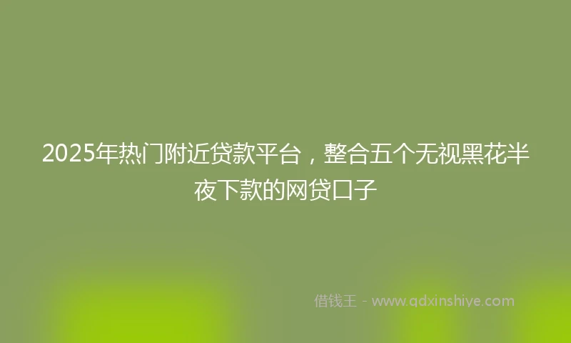 2025年热门附近贷款平台，整合五个无视黑花半夜下款的网贷口子
