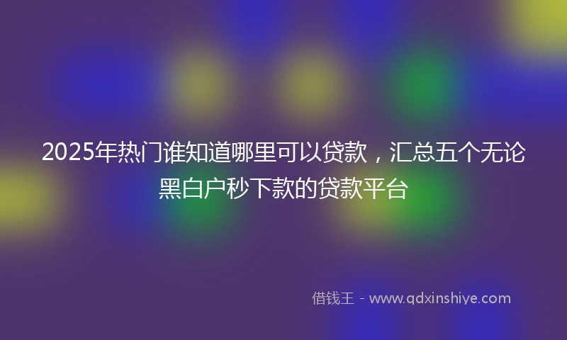 2025年热门谁知道哪里可以贷款，汇总五个无论黑白户秒下款的贷款平台