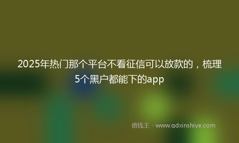 2025年热门那个平台不看征信可以放款的，梳理5个黑户都能下的app