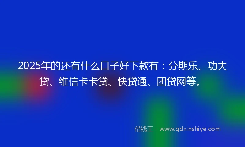 2025年的还有什么口子好下款有：分期乐、功夫贷、维信卡卡贷、快贷通、团贷网等。