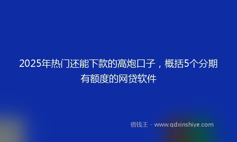 2025年热门还能下款的高炮口子，概括5个分期有额度的网贷软件