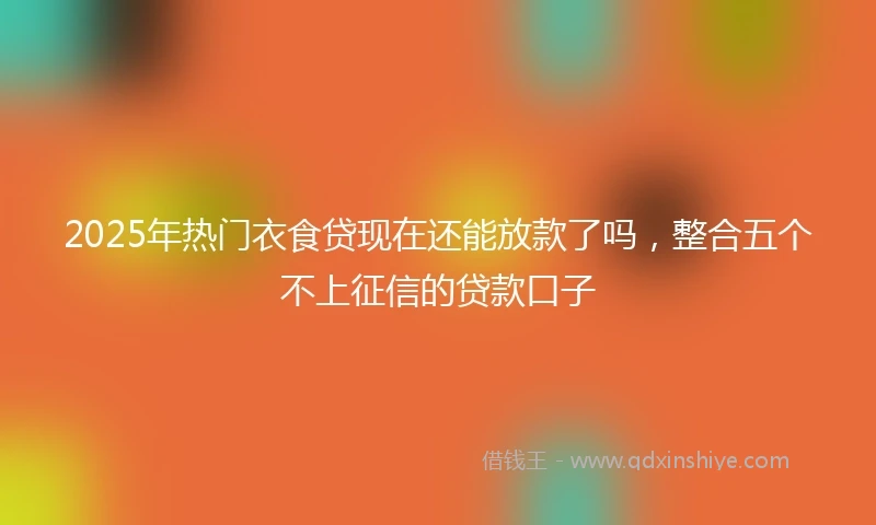 2025年热门衣食贷现在还能放款了吗，整合五个不上征信的贷款口子