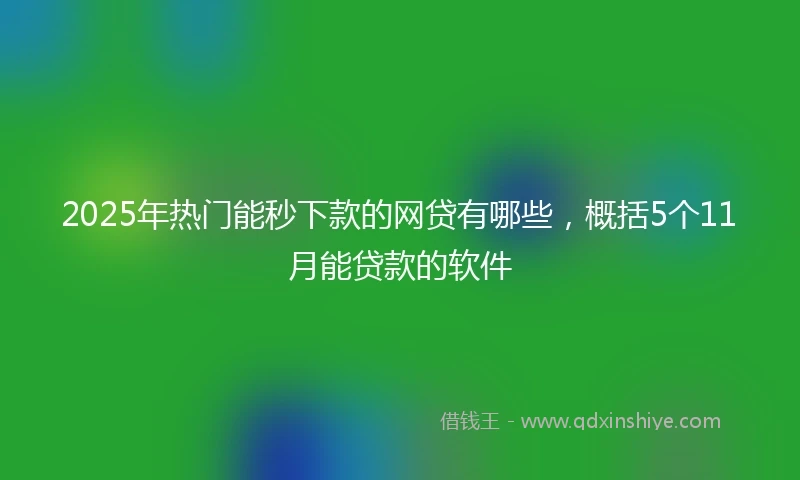 2025年热门能秒下款的网贷有哪些，概括5个11月能贷款的软件