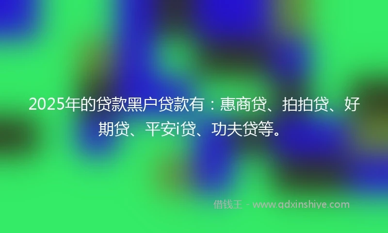 2025年的贷款黑户贷款有:惠商贷、拍拍贷、好期贷、平安i贷、功夫贷等。