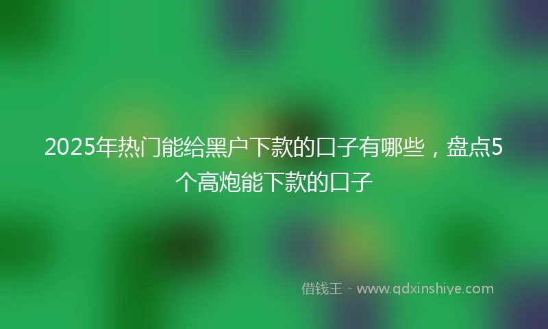 2025年热门能给黑户下款的口子有哪些，盘点5个高炮能下款的口子