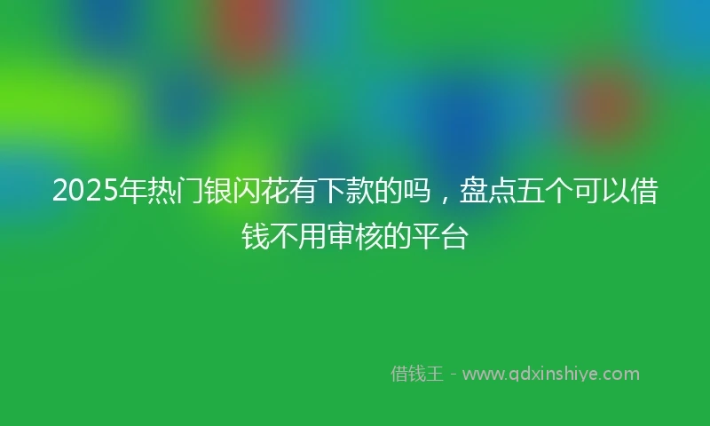 2025年热门银闪花有下款的吗，盘点五个可以借钱不用审核的平台