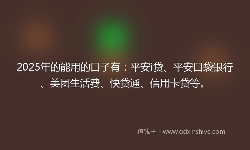 2025年的能用的口子有：平安i贷、平安口袋银行、美团生活费、快贷通、信用卡贷等。