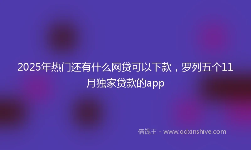 2025年热门还有什么网贷可以下款，罗列五个11月独家贷款的app