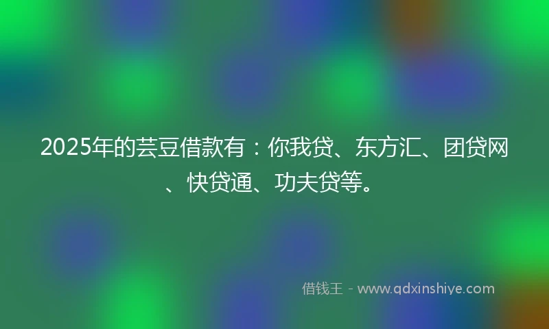 2025年的芸豆借款有：你我贷、东方汇、团贷网、快贷通、功夫贷等。