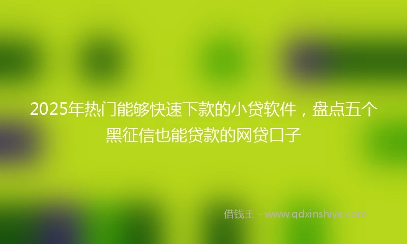 2025年热门能够快速下款的小贷软件，盘点五个黑征信也能贷款的网贷口子