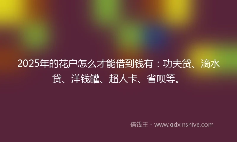 2025年的花户怎么才能借到钱有：功夫贷、滴水贷、洋钱罐、超人卡、省呗等。