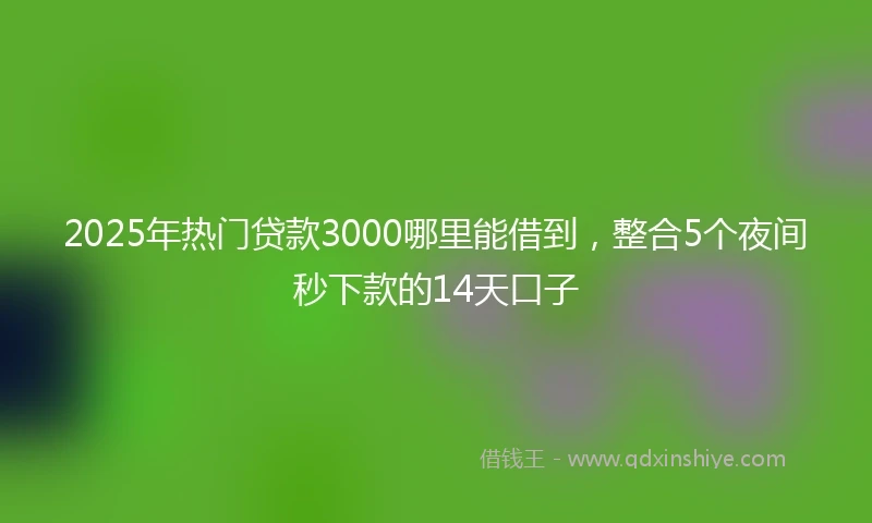 2025年热门贷款3000哪里能借到，整合5个夜间秒下款的14天口子