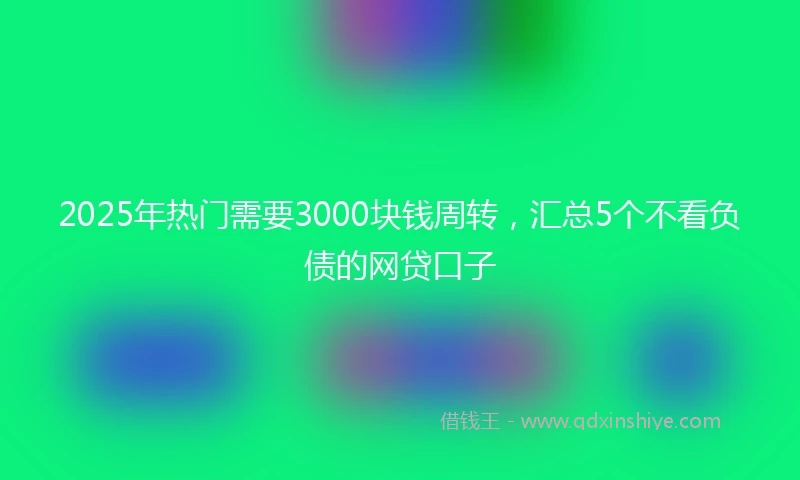2025年热门需要3000块钱周转，汇总5个不看负债的网贷口子