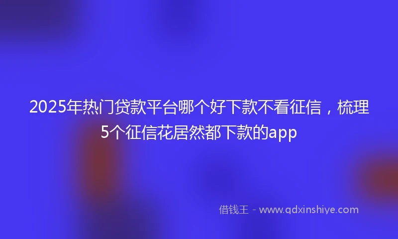 2025年热门贷款平台哪个好下款不看征信，梳理5个征信花居然都下款的app