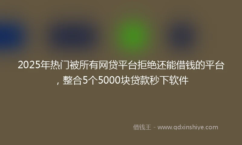 2025年热门被所有网贷平台拒绝还能借钱的平台，整合5个5000块贷款秒下软件