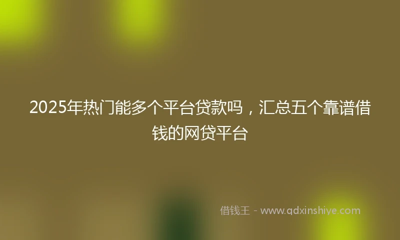2025年热门能多个平台贷款吗，汇总五个靠谱借钱的网贷平台