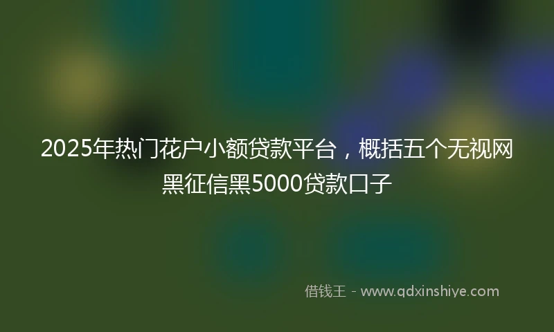 2025年热门花户小额贷款平台，概括五个无视网黑征信黑5000贷款口子