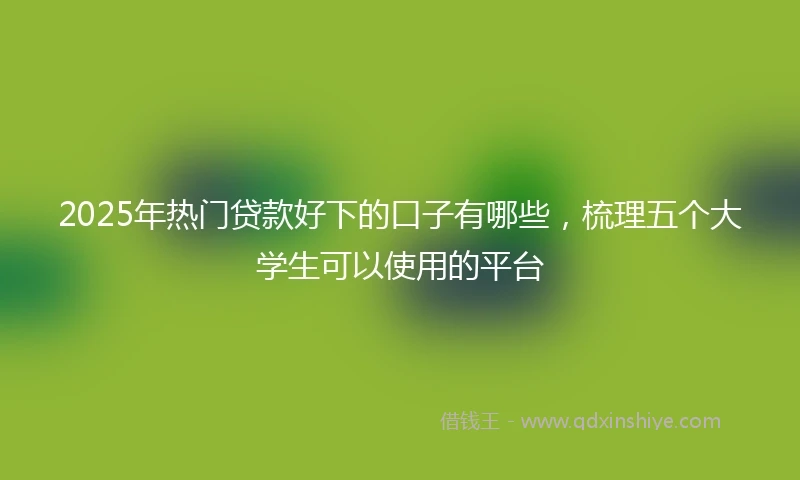2025年热门贷款好下的口子有哪些，梳理五个大学生可以使用的平台