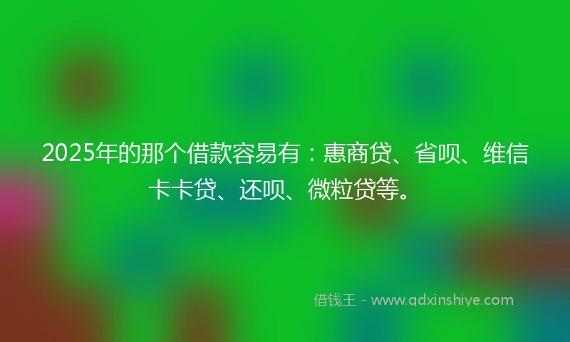2025年的那个借款容易有：惠商贷、省呗、维信卡卡贷、还呗、微粒贷等。