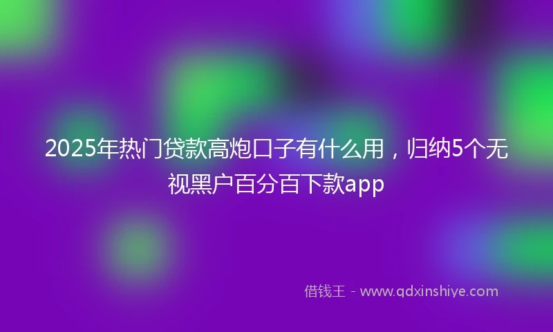 2025年热门贷款高炮口子有什么用,归纳5个无视黑户百分百下款app