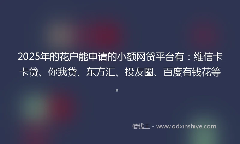 2025年的花户能申请的小额网贷平台有：维信卡卡贷、你我贷、东方汇、投友圈、百度有钱花等。