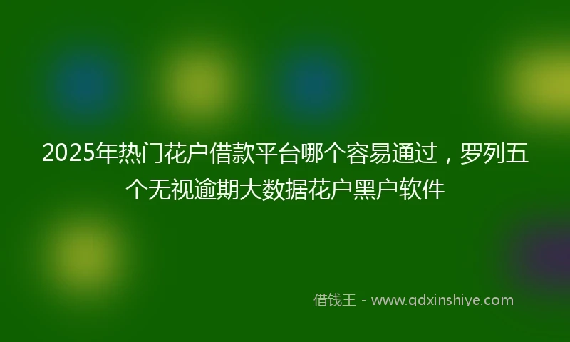 2025年热门花户借款平台哪个容易通过，罗列五个无视逾期大数据花户黑户软件