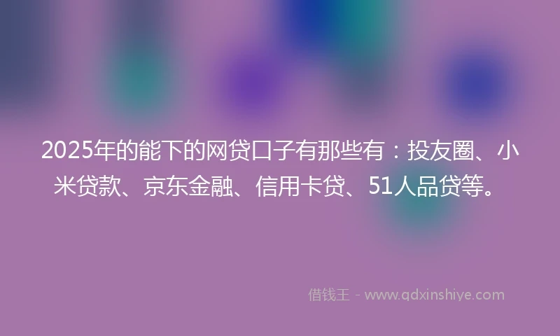 2025年的能下的网贷口子有那些有：投友圈、小米贷款、京东金融、信用卡贷、51人品贷等。
