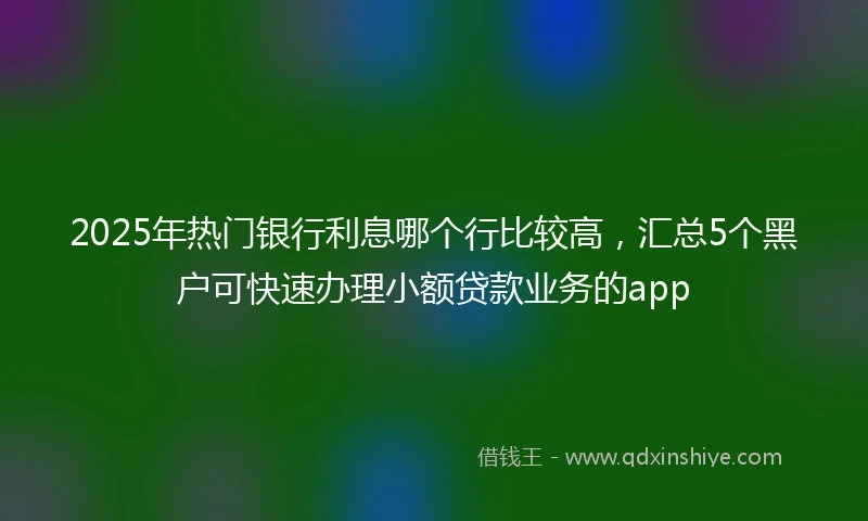 2025年热门银行利息哪个行比较高，汇总5个黑户可快速办理小额贷款业务的app