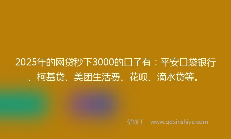 2025年的网贷秒下3000的口子有：平安口袋银行、柯基贷、美团生活费、花呗、滴水贷等。