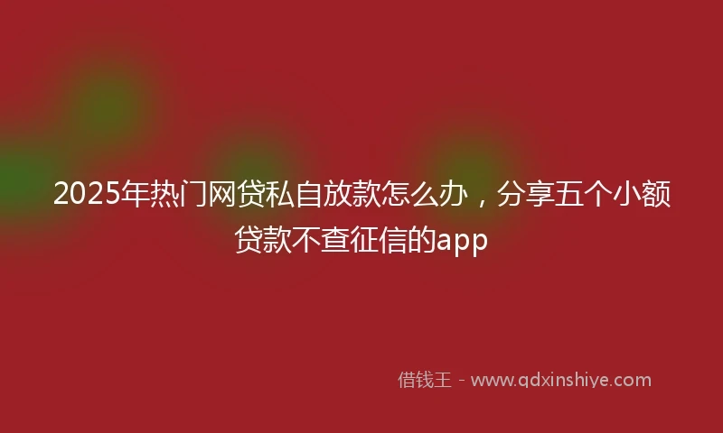 2025年热门网贷私自放款怎么办，分享五个小额贷款不查征信的app
