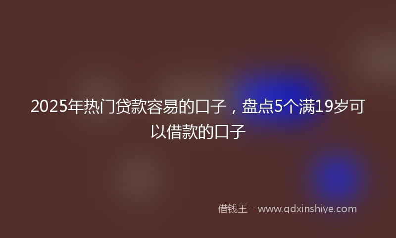 2025年热门贷款容易的口子，盘点5个满19岁可以借款的口子