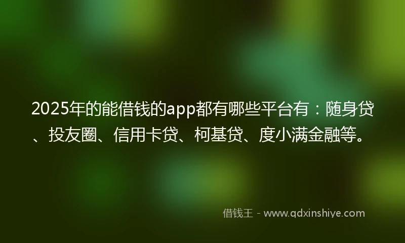 2025年的能借钱的app都有哪些平台有：随身贷、投友圈、信用卡贷、柯基贷、度小满金融等。