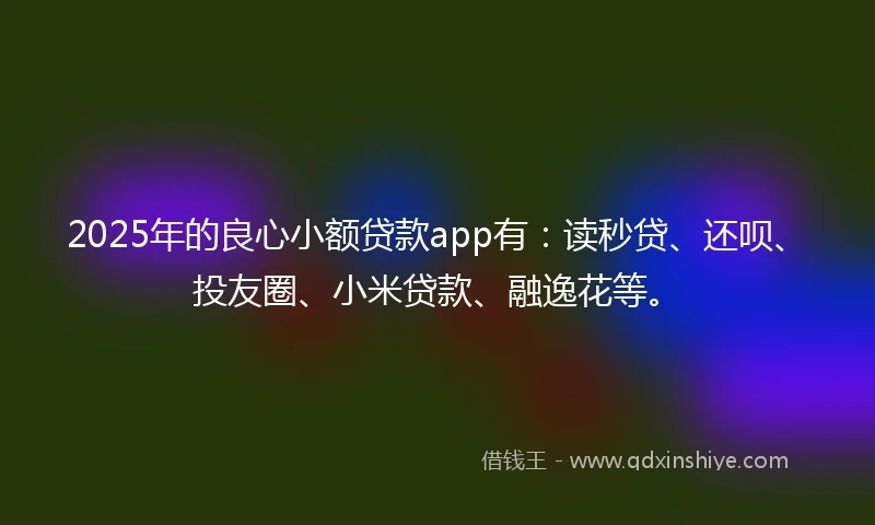 2025年的良心小额贷款app有：读秒贷、还呗、投友圈、小米贷款、融逸花等。